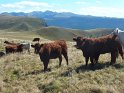 2012-09-19 15-19-49 la Banne d'Ordanche MBo